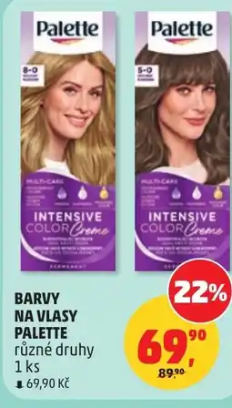 Penny Market Barvy na vlasy palette nabídka