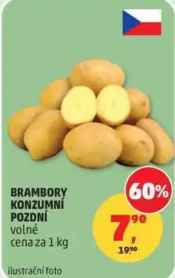 Penny Market BRAMBORY KONZUMNÍ POZDNÍ volné nabídka
