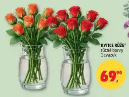 Penny Market KYTICE RŮŽE různé barvy, 1 svazek nabídka