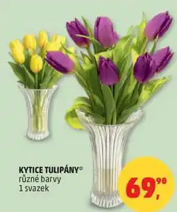 Penny Market KYTICE TULIPÁNY různé barvy, 1 svazek nabídka