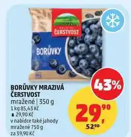 Penny Market BORŮVKY MRAZIVÁ ČERSTVOST mražené nabídka