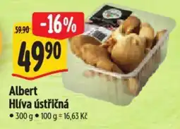 Albert Albert Hlíva ústřičná nabídka