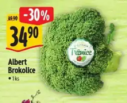 Albert Albert Brokolice nabídka
