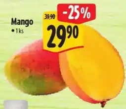 Albert Mango nabídka