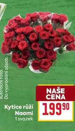 Billa Kytice růží Naomi 1 svazek nabídka