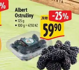 Albert Albert Ostružiny nabídka