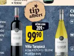 Albert Viña Tarapacá nabídka