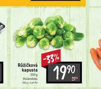 Billa Růžičková kapusta nabídka