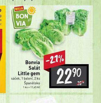 Billa Bonavita salát little gem nabídka