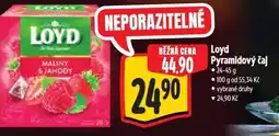 Albert Loyd Pyramidový čaj nabídka