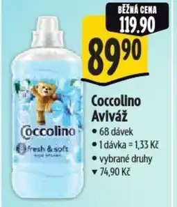 Albert Coccolino Aviváž nabídka
