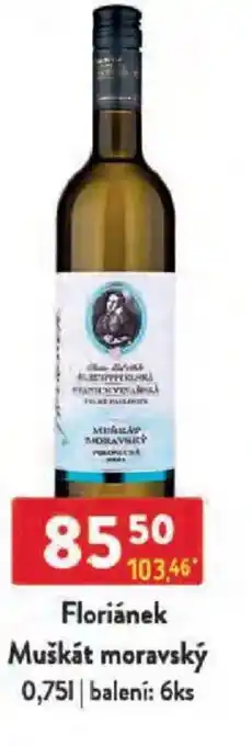 Qanto Floriánek Muškát moravský nabídka