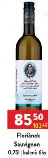 Qanto Floriánek Sauvignon nabídka