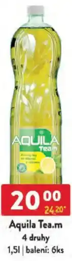 Qanto Aquila Tea.m 4 druhy nabídka