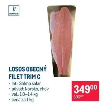 Makro LOSOS OBECNÝ FILET TRIM C nabídka