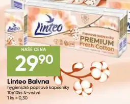 Hruška Linteo Balvna nabídka