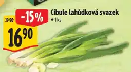 Albert Cibule lahůdková svazek nabídka