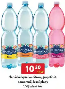 Qanto Hanácká kyselka citron, grapefruit, pomeranč, lesní plody nabídka