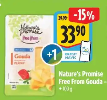 Albert Nature's Promise Free From Gouda nabídka
