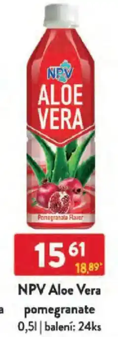 Qanto NPV Aloe Vera pomegranate nabídka
