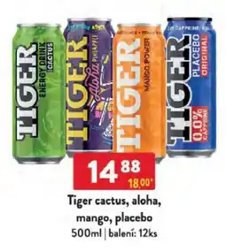 Qanto Tiger cactus, aloha, mango, placebo nabídka