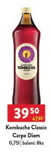 Qanto Kombucha Classic Carpe Diem nabídka