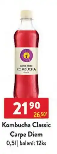 Qanto Kombucha Classic Carpe Diem nabídka