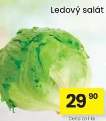 Ledový salát