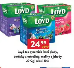Qanto Loyd tea pyramida lesní plody, borůvky a ostružiny, maliny a jahody nabídka