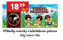 Qanto Hřibečky sušenky s čokoládovou polevou nabídka