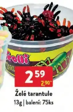 Qanto Želé tarantule nabídka