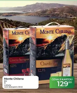 Tamda Foods Monte Chilena Bib 31 nabídka