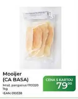 Tamda Foods Mooijer (CA BASA) Mraz, pangasius 170/220 nabídka