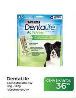 Tamda Foods DentaLife pochoutka pro psy 115g-142 g nabídka