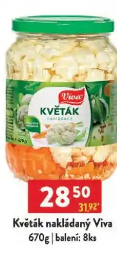 Qanto Květák nakládaný Viva nabídka
