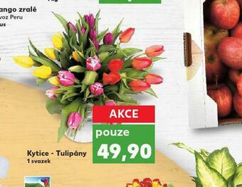 Kaufland Kytice tulipány nabídka