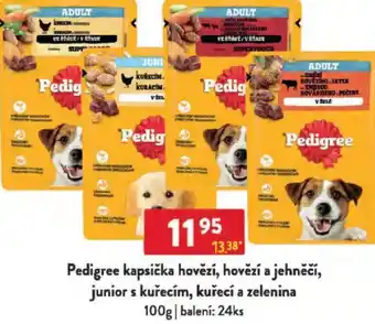 Qanto Pedigree kapsička hovězí, hovězí a jehněčí, junior s kuřecím, kuřecí a zelenina nabídka
