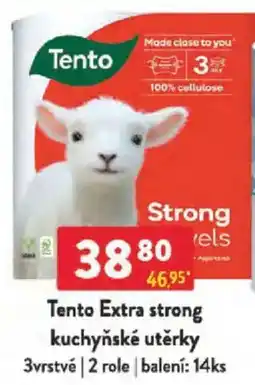 Qanto Tento Extra strong kuchyňské utěrky nabídka
