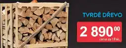 Qanto Tvrdé dřevo nabídka