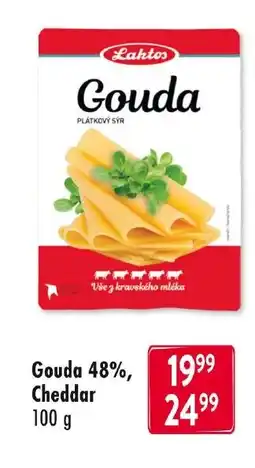 Qanto Laktos Gouda 48% Cheddar nabídka