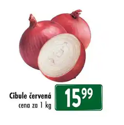 Qanto Cibule červená nabídka