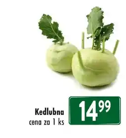Qanto Kedlubna nabídka