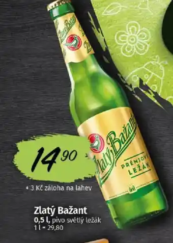 Zlatý Bažant