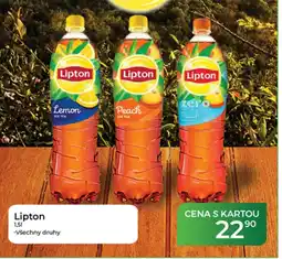 Tamda Foods Lipton nabídka