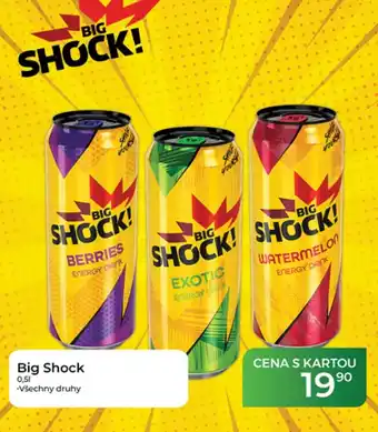 Tamda Foods Big Shock nabídka