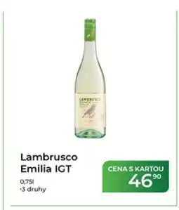Tamda Foods Lambrusco Emilia IGT nabídka