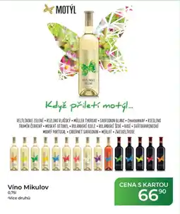 Tamda Foods Víno Mikulov nabídka
