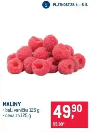 Makro Maliny nabídka