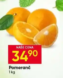 Hruška Pomeranč nabídka