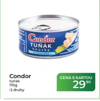 Tamda Foods Condor tuňák nabídka
